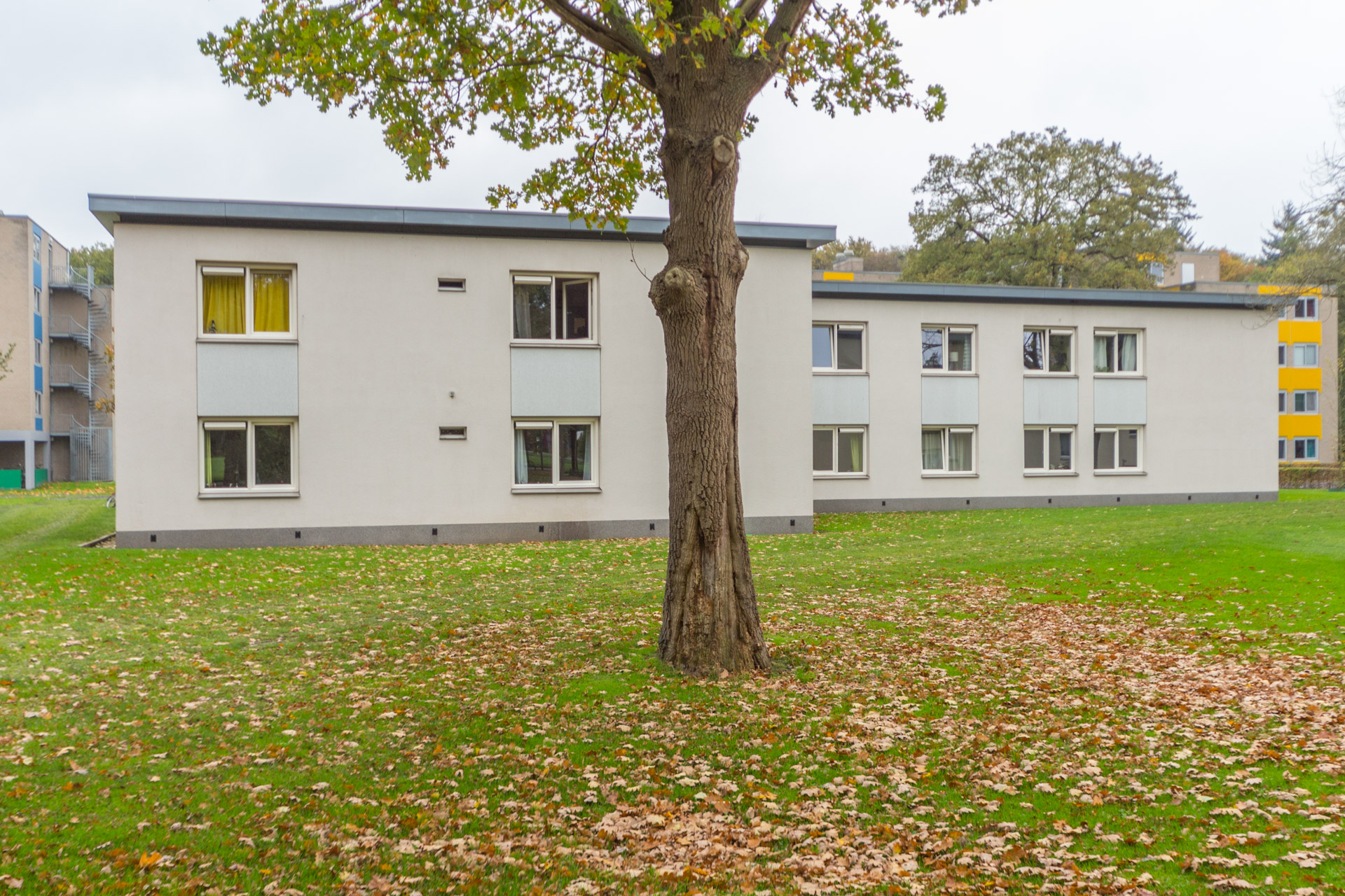 Campuslaan 53217, Enschede